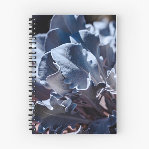 Item preview, Silver Knapweed designed and sold by HoneyHuesPhotos.