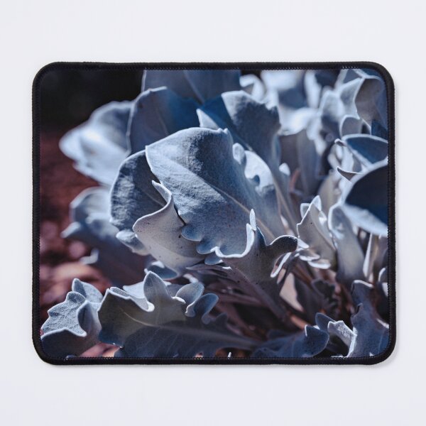 Item preview, Silver Knapweed designed and sold by HoneyHuesPhotos.