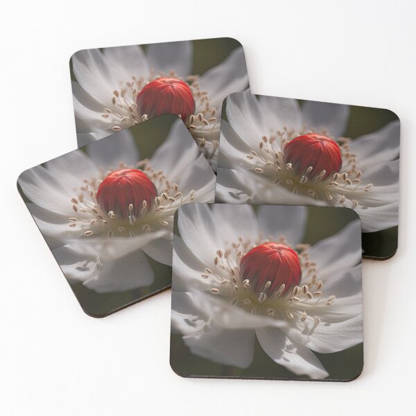 Item preview, open to the sun-red-beauty-nature-beauty-flowers-red flower designed and sold by Hermossa-Art.
