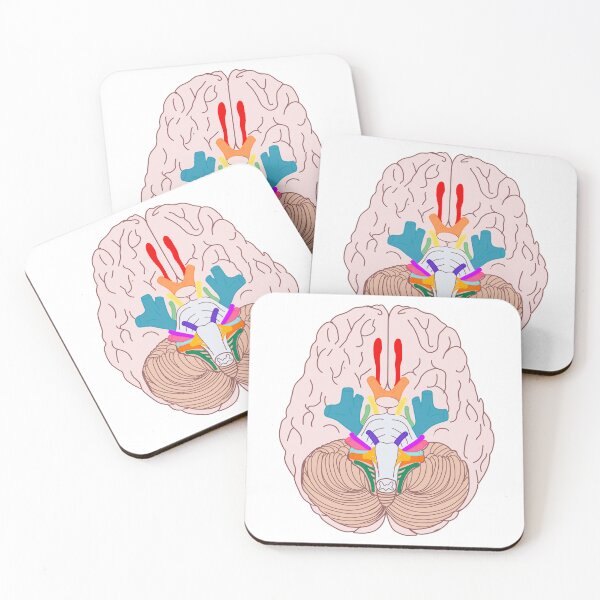 Item preview, Cranial Nerves designed and sold by sofbakedaloaf.