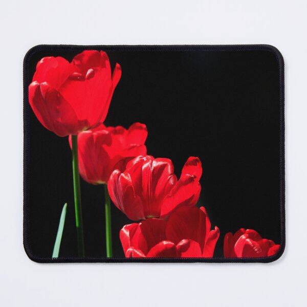 Item preview, Red tulips on black background designed and sold by olena2552.