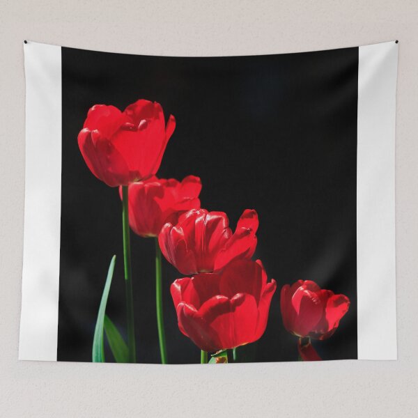 Item preview, Red tulips on black background designed and sold by olena2552.