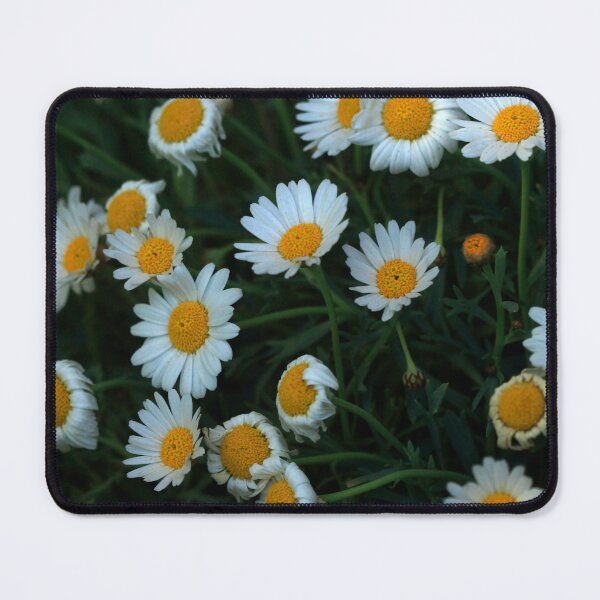 Item preview, White chamomiles on nature background designed and sold by olena2552.