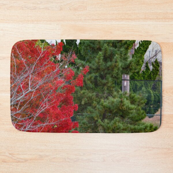 Item preview, Bright red mable leaves contrasting against deep green pine tree designed and sold by Shizenkai.