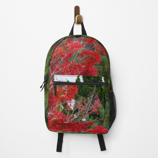 Item preview, Bright red mable leaves contrasting against deep green pine tree designed and sold by Shizenkai.