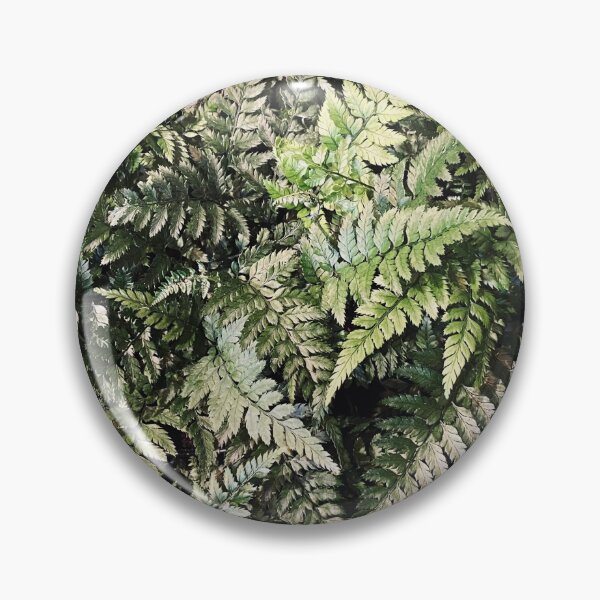 Item preview, East Indian Holly Fern - Photography  designed and sold by Cheeriooooo.