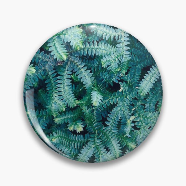 Item preview, Peacock Fern - Photography designed and sold by Cheeriooooo.