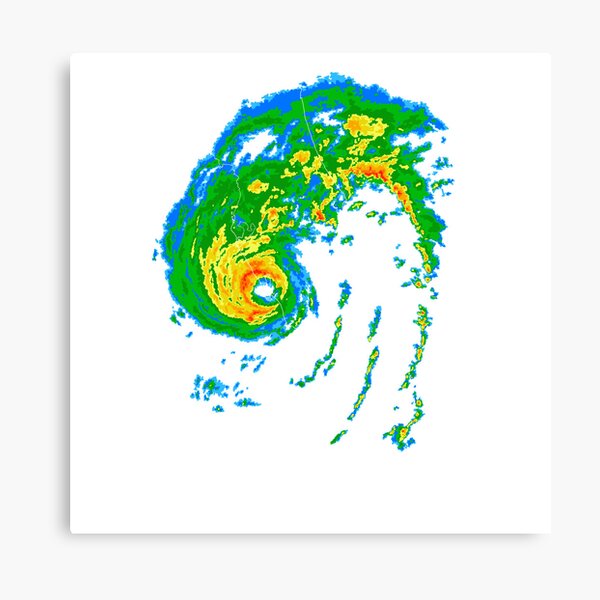 Item preview, Category 5 Hurricane Ian Lanfall designed and sold by morticiity.