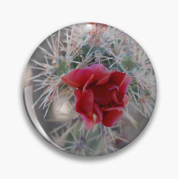 Item preview, Cactus designed and sold by cheesescraps.