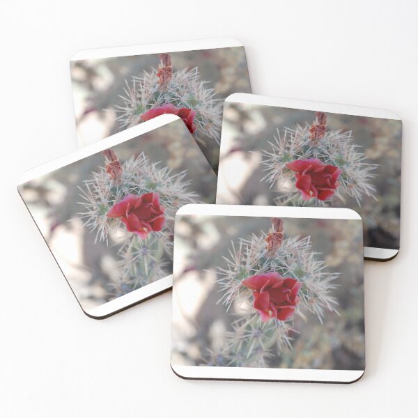 Item preview, Cactus designed and sold by cheesescraps.