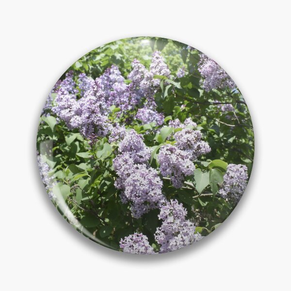 Item preview, Lilacs in Bloom designed and sold by Kathleen Brant.