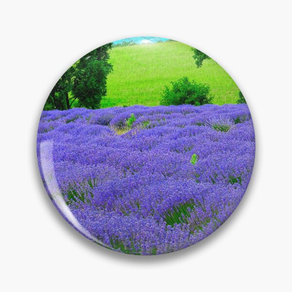 Artikelvorschau, Blick auf Lavendelfelder in der Drôme Provencale in Frankreich entworfen und verkauft von franck380.