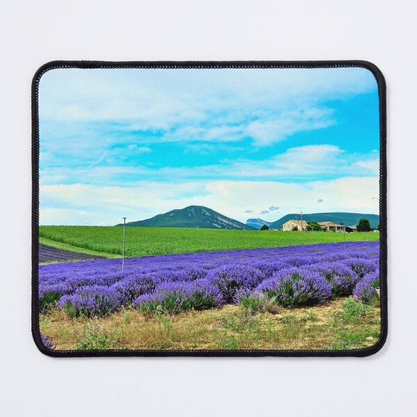 Artikelvorschau, Blick auf Lavendelfelder in der Drôme Provencale in Frankreich entworfen und verkauft von franck380.