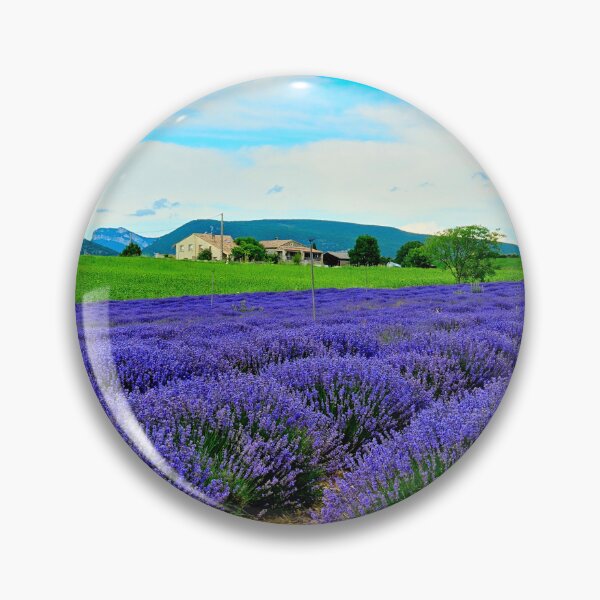 Artikelvorschau, Blick auf Lavendelfelder in der Drôme Provencale in Frankreich entworfen und verkauft von franck380.
