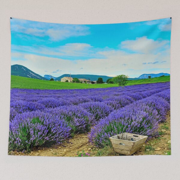 Artikelvorschau, Blick auf Lavendelfelder in der Drôme Provencale in Frankreich entworfen und verkauft von franck380.