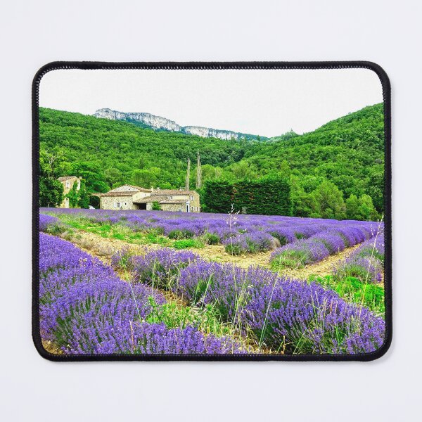 Artikelvorschau, Blick auf Lavendelfelder in der Drôme Provencale in Frankreich entworfen und verkauft von franck380.