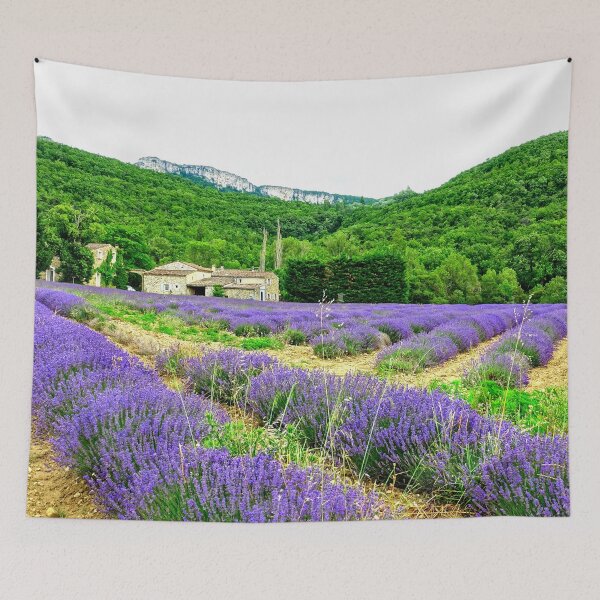 Artikelvorschau, Blick auf Lavendelfelder in der Drôme Provencale in Frankreich entworfen und verkauft von franck380.