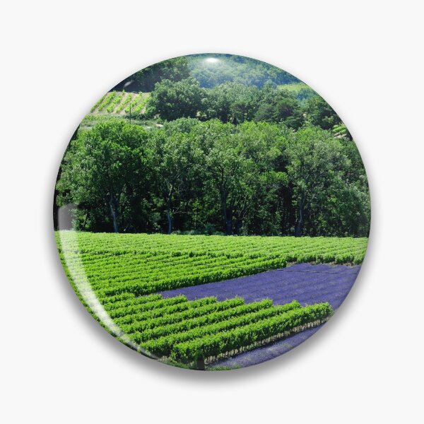 Artikelvorschau, Blick auf Lavendelfelder in der Drôme Provencale in Frankreich entworfen und verkauft von franck380.