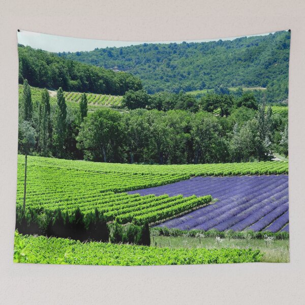 Artikelvorschau, Blick auf Lavendelfelder in der Drôme Provencale in Frankreich entworfen und verkauft von franck380.