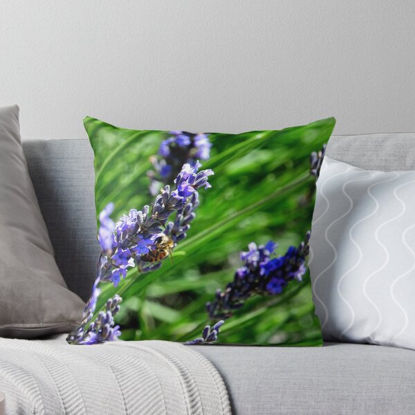 Item preview, Abejas alimentándose de lavanda en la región provenzal de Drôme, en Francia designed and sold by franck380.