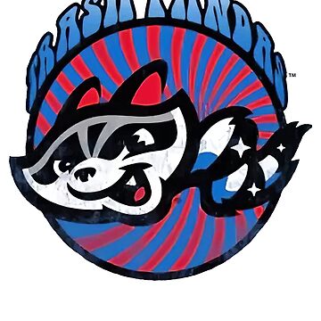 Rocket City Trash Pandas baseball logo T-shirt, hoodie, sweater