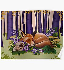 Sleeping Fox Poster