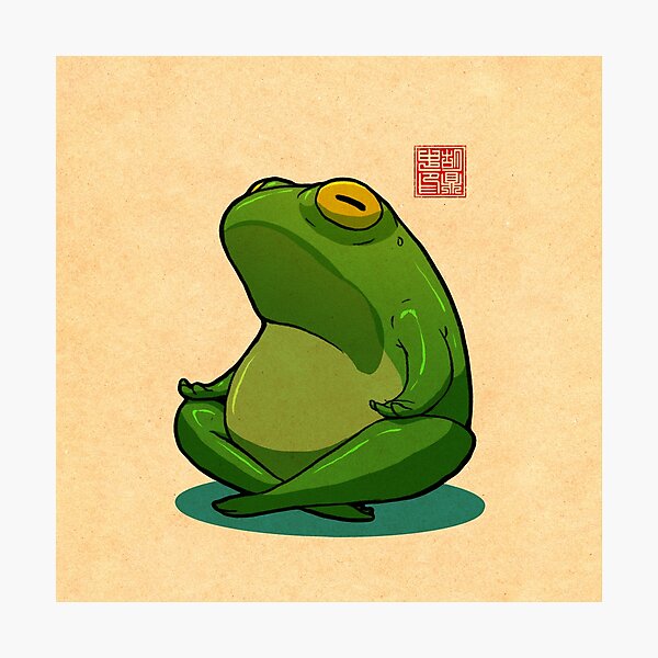 Yoga Frog Cross Legged Pose Photographic Print For Sale By Dinghuart