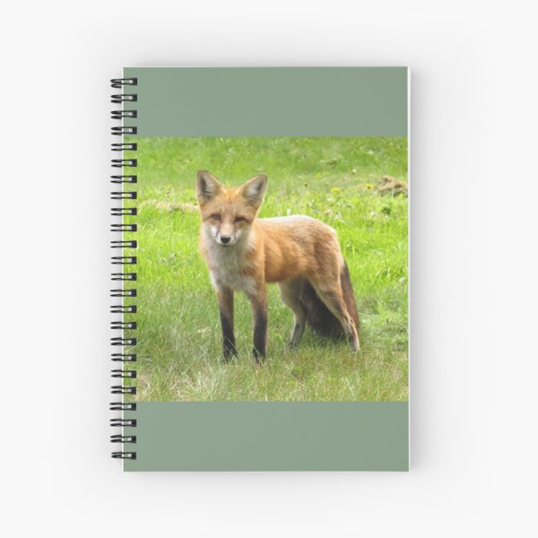 Aperçu de l'œuvre Renard rouge créée et vendue par Wendy Yutzy.