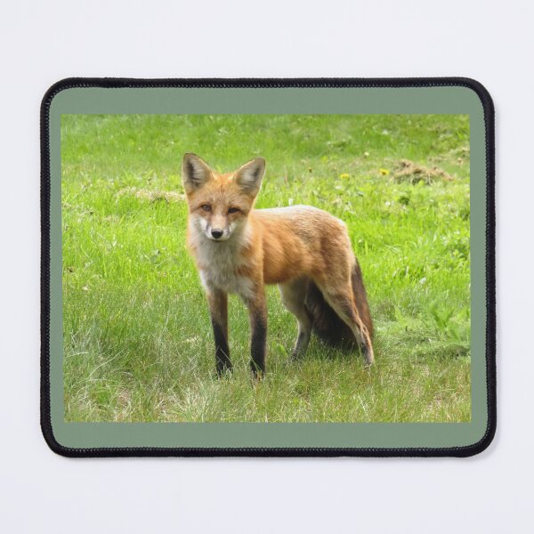 Item preview, Red Fox  designed and sold by Wendy Yutzy.