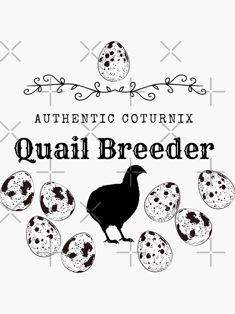 Authentic Coturnix Quail Breeder Sticker for Sale by Ashley Gagnon