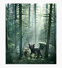 Story Photographic Print