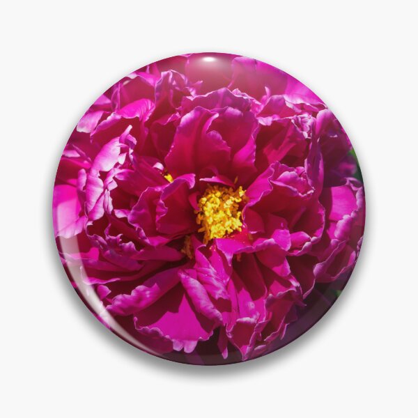 Artikelvorschau, Viva Magenta – Auffällige Pfingstrosenblüten mit gekräuselten Blütenblättern entworfen und verkauft von Georgia Mizuleva.