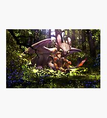 Hey Brother Photographic Print