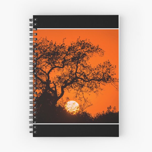 Item preview, The Bones of Trees - Texas Sunset designed and sold by TheCurators.