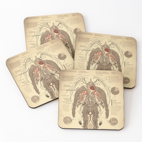 Item preview, Monster anatomy  designed and sold by fanzen69.