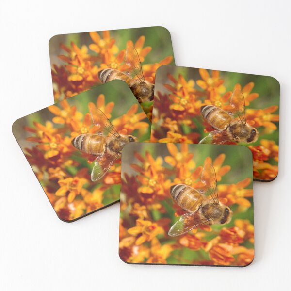 Item preview, Honeybee on orange asclepias flowers designed and sold by Katrina Valuyeva.