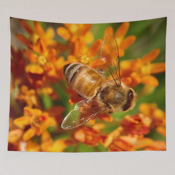 Item preview, Honeybee on orange asclepias flowers designed and sold by Katrina Valuyeva.