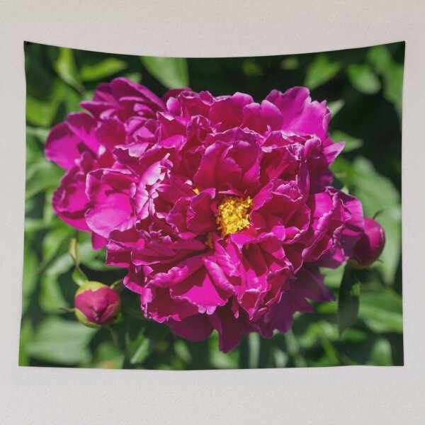 Item preview, Viva Magenta - Showy Peony Blooms with Ruffled Petals designed and sold by Georgia Mizuleva.