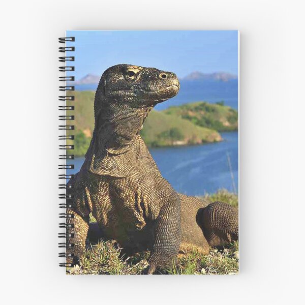 Item preview, komodo designed and sold by ishirrinni.