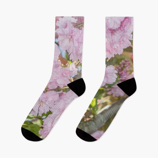 Item preview, Blossom in sunshine designed and sold by Dave Hare Photography.