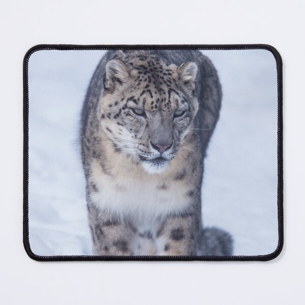 Item preview, snow leopard designed and sold by Titphilou.