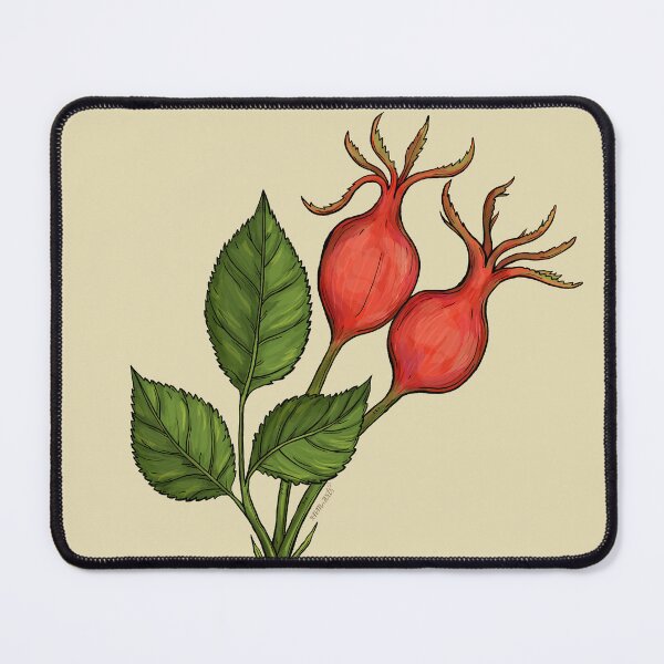 Item preview, Rose Hips - Autumn Forages designed and sold by rnmarts.
