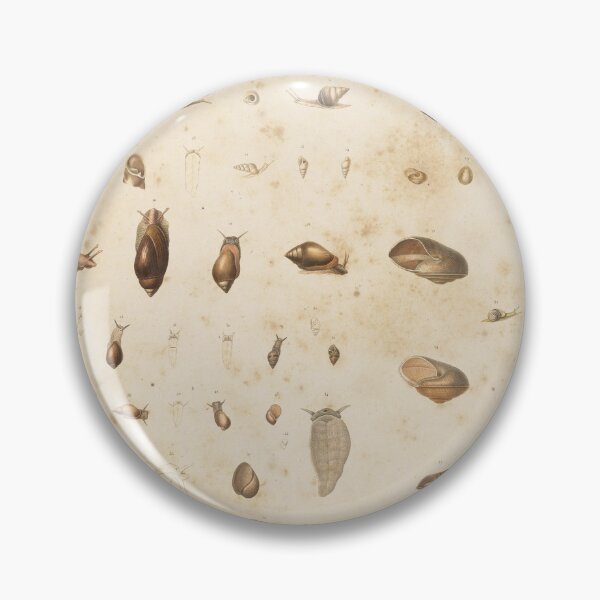 Item preview, Snail Shell Garden Pattern designed and sold by vintagetimeco.