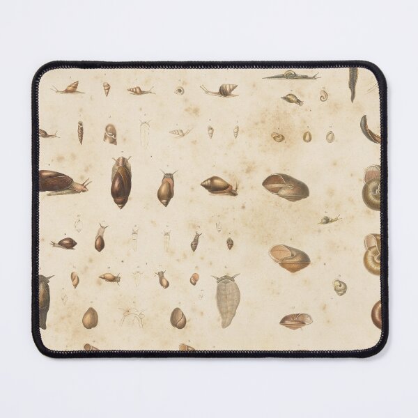 Item preview, Snail Shell Garden Pattern designed and sold by vintagetimeco.