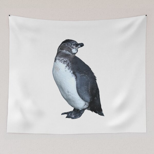 Artikelvorschau, But am I looking at you? Cute Galapagos Penguin  entworfen und verkauft von SBPenguins.