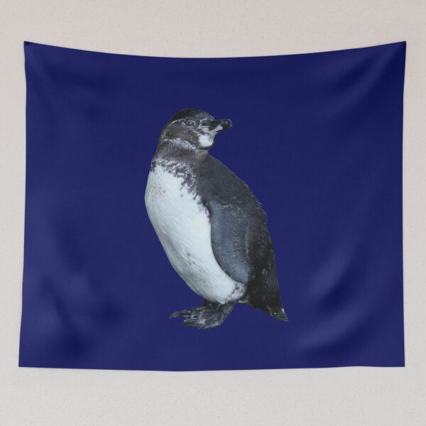 Artikelvorschau, Dark Blue #060D5B But am I looking at you? Cute Galapagos Penguin  entworfen und verkauft von SBPenguins.