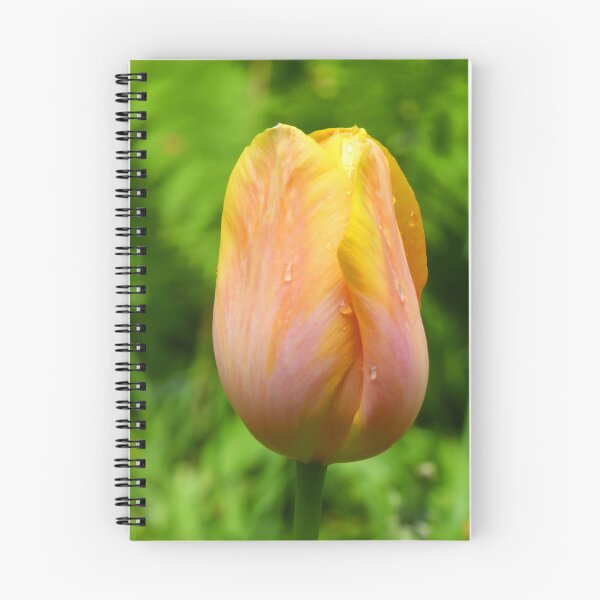 Item preview, The queen of tulips designed and sold by jchanders.