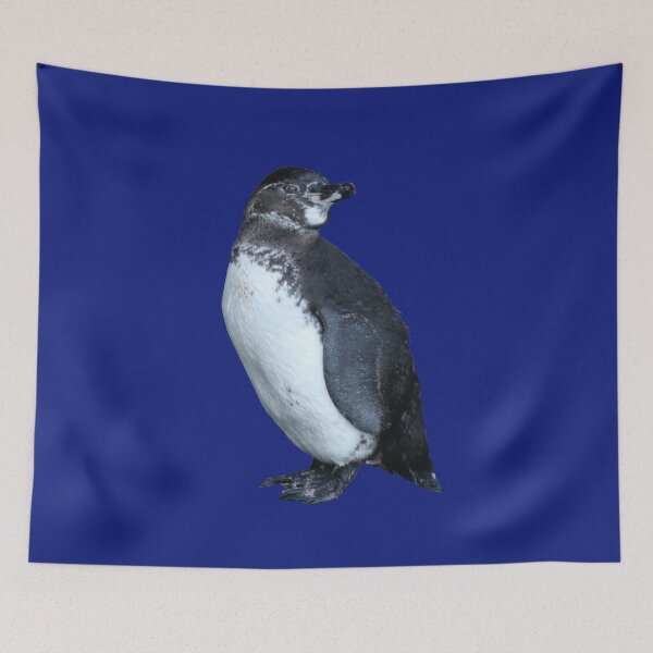 Artikelvorschau, Blue #0F1D7B But am I looking at you? Cute Galapagos Penguin  entworfen und verkauft von SBPenguins.