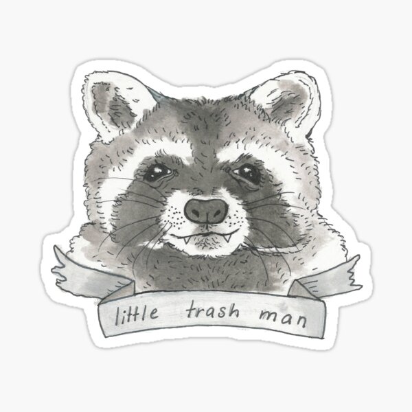 raccoon Sticker