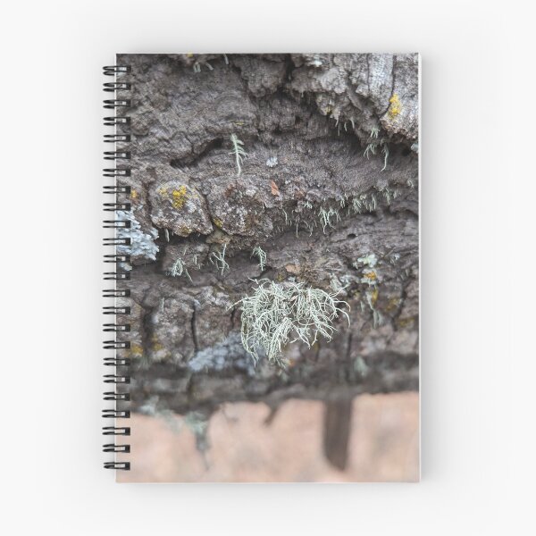 Item preview, Moss on a Log designed and sold by ZMCInc.